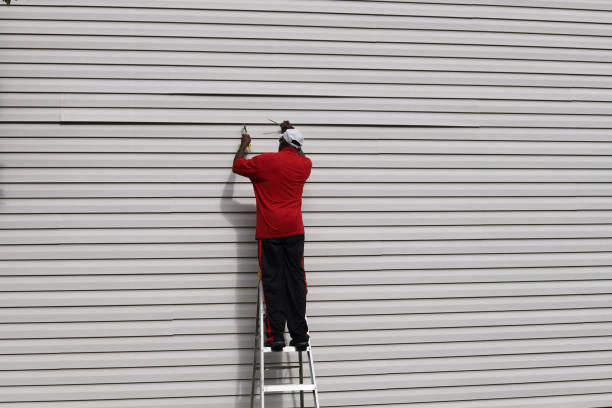 Best Wood Siding Installation  in Munising, MI