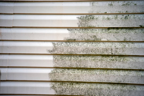 Trusted Munising, MI Siding Installation & Repair Experts