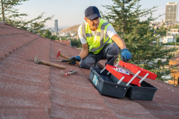 Best Siding Painting and Refinishing  in Munising, MI