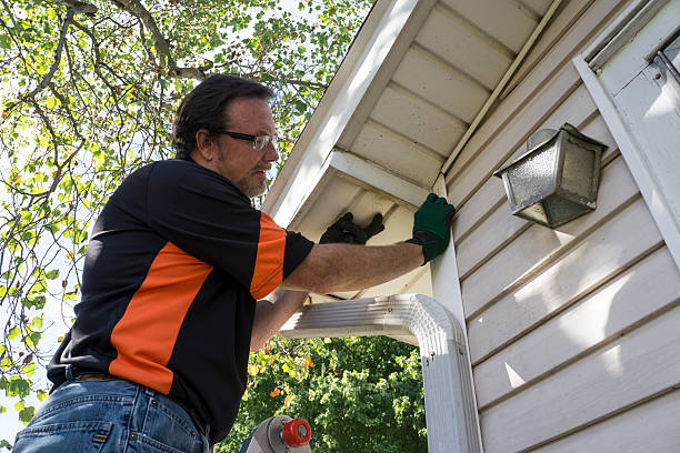 Best Custom Siding Design  in Munising, MI